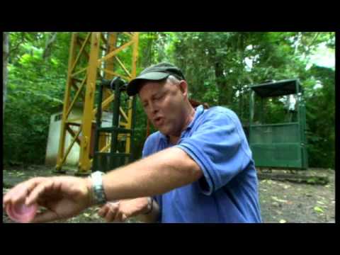 ANIMAL NATION - WORLD'S BIGGEST BADDEST BUGS