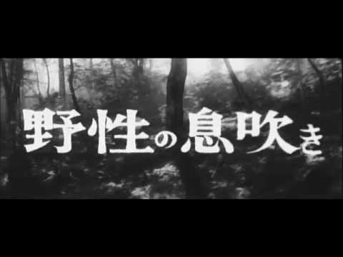 曲谷守平監督『九十九本目の生娘』(1959) 予告編