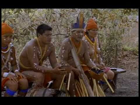 Ajishima the White Ibis - PREVIEW