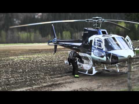 Sunny Official Trailer