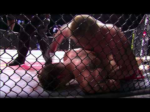 Brock Lesnar: Best of the Beast