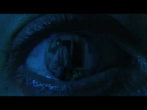 The Stalker Chronicles: Episode Two: Reflections