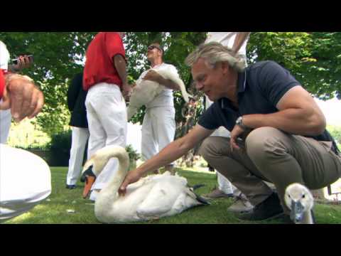 Man & Beast with Martin Clunes | ITV