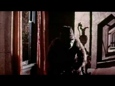 ghost in the invisible bikini trailer.mp4