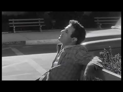 Daddy O' movie trailer