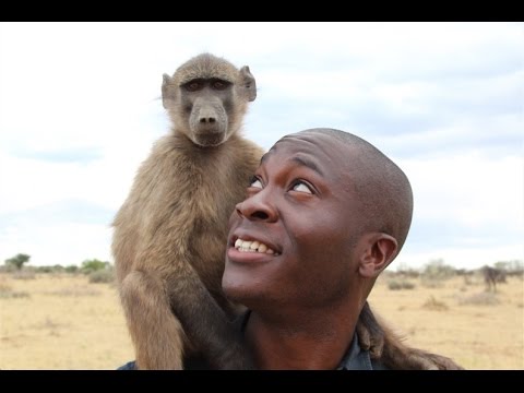 OFFSPRING FILMS   MONKEYS PROMO