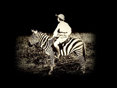 ARK of LIGHTS and SHADOWS | Official Trailer [HD]