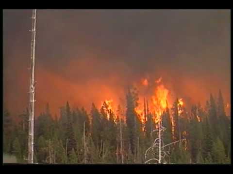 Yellowstone Aflame Music Video - National Park DVD