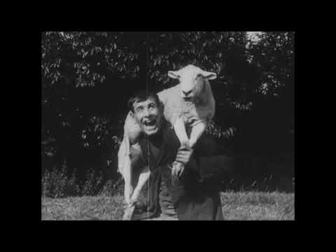 The Sheep Stealer (1908) Haggar