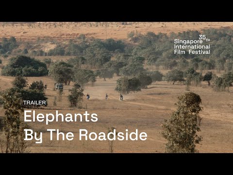 Elephants By The Roadside Trailer | SGIFF 2024
