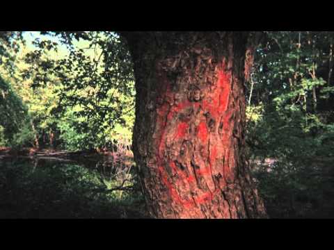 The Smiley Face Killers Trailer