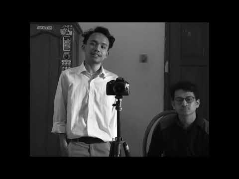 Penguin Platypus (2024) - Trailer