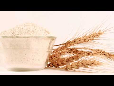 "Pet Fooled" Trailer