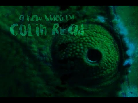 Spirit Quest - trailer