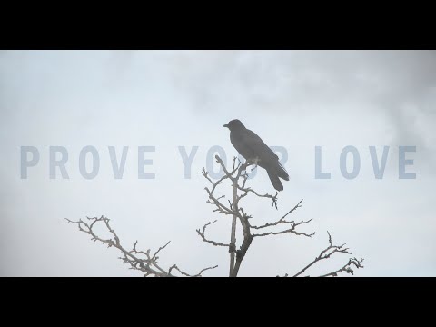 PROVE YOUR LOVE (2024) Official Trailer