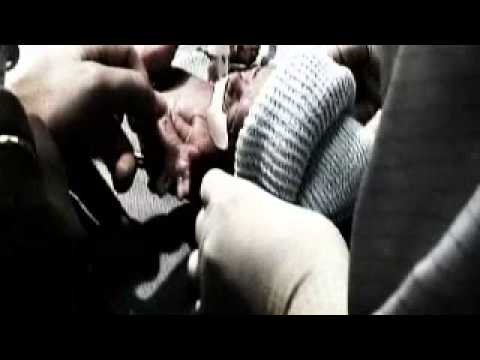 little man trailer - a Nicole Conn Documentary