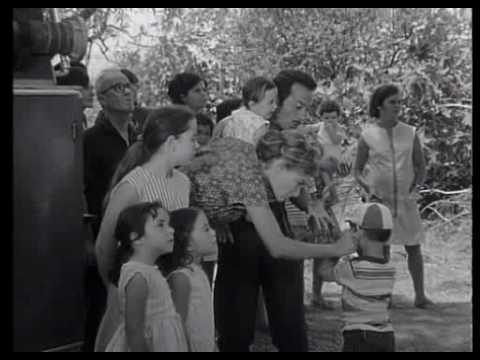 Οικογενεια Χωραφα