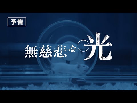 映画『無慈悲な光』予告編 / 超人気セクシー女優８名が贈る感動の超大作。