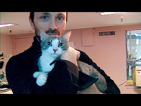 Preview of The Witness: A Tribe of Heart Documentary