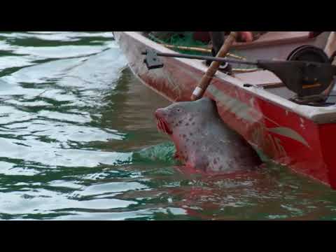 Growing Native Alaska: People of the North Trailer