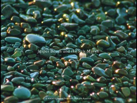 Jasper Beach and the Salt Marsh (16mm, trailer)