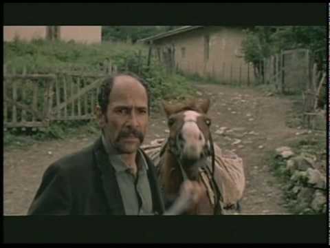 Trailer for "The Color of Paradise"