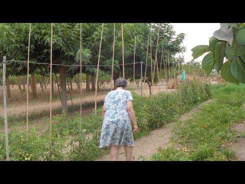 A Són Miró (6jul24)