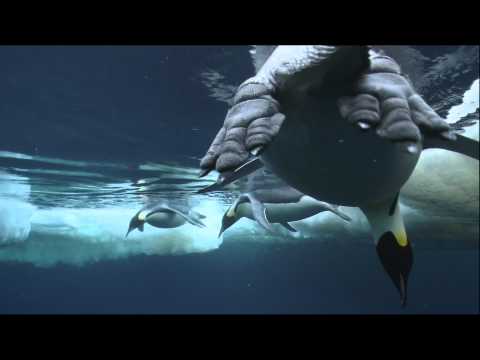 The Kingdom of the Oceans