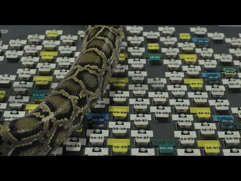 Hot Docs 2022 Trailer:  BURIAL