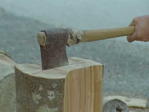 SORTZINEMA 2023/24 - Krutxalteatik Uronarat