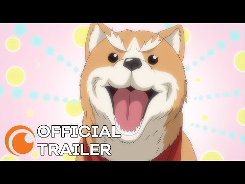 Oda Cinnamon Nobunaga | OFFICIAL TRAILER