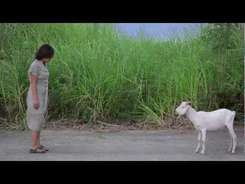 Asan si Lolo Mê? (Trailer)