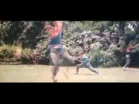 The Shaolin Temple (1982) original trailer