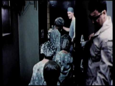 Shocking Lyme Disease Documentary - Under the Eightball