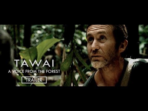 TAWAI - A voice from the forest | Trailer (Theatrical) | A film from Bruce Parry | In cinemas Now