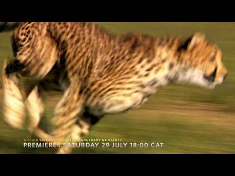 Mission Critical: Namibia, Sanctuary of Giants | 29 July 2017