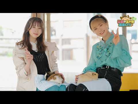 Blu-ray「ささもり・みゆかおり「～伝説の生き物～調査ロケ♪ in 茶臼山動物園」」ダイジェスト映像