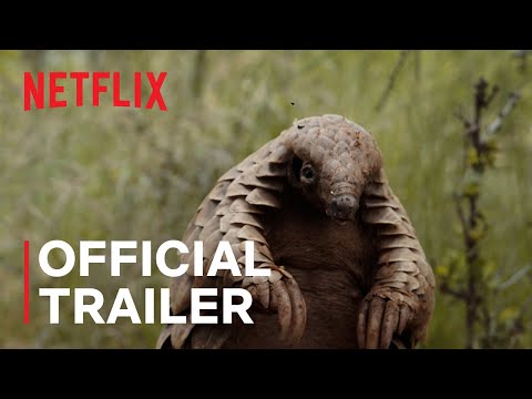 Official Trailer