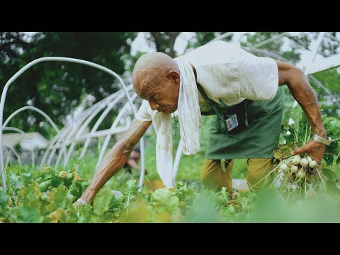 Grow a Better Dallas - Official Trailer