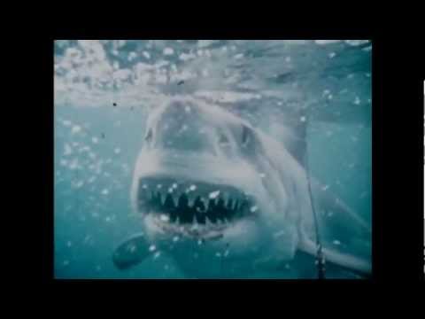 Ron & Valerie Taylor's Inner Space - Trailer