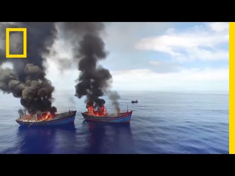 Lawless Oceans | Launch Spot