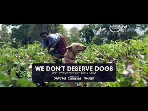 We Don't Deserve Dogs - Official Trailer [4K Cinemascope]