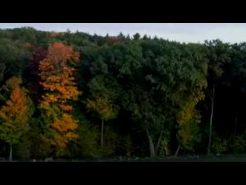 Ring of Darkness Trailer