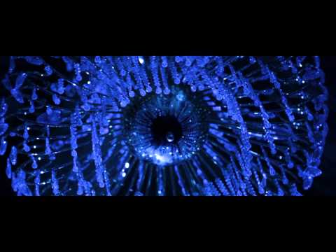 Дурлалын гэмт хэрэг OFFICIAL TRAILER