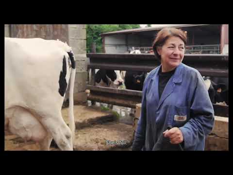 Excerpt | Cows With No Name | Hubert Charuel