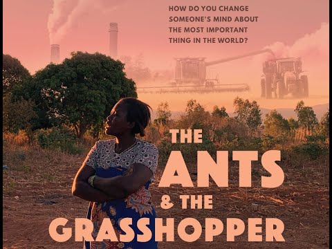 The Ants and the Grasshopper official film trailer