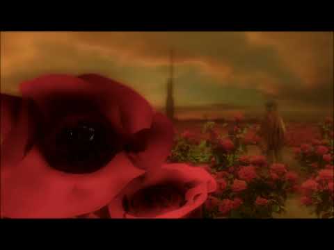 The Gunslinger and the Man in Black (Diego Betancort) 2011 - Trailer