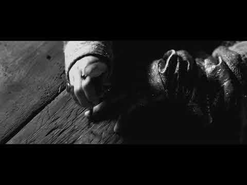 The Bottomless Bag - trailer | IFFR 2018