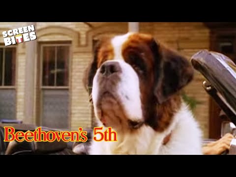 "Beethoven's 5th" - Official Trailer
