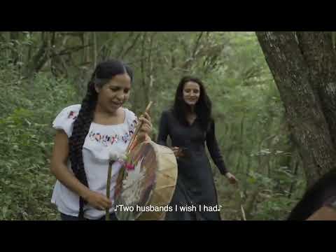 Terminal Norte de Lucrecia Martel english trailer